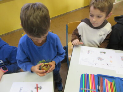 Foto des Albums: Igel im Herbst (mit der Partnerschule Cheb) (18. 10. 2023)