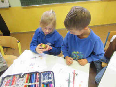 Foto des Albums: Igel im Herbst (mit der Partnerschule Cheb) (18. 10. 2023)