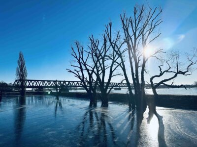 Fotoalbum Impressionen vom Hochwasser (Januar 2024) I Fotos: Martin Ferch