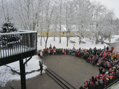 Foto des Albums: Sternsinger