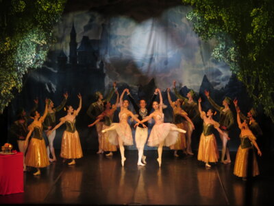 Foto des Albums: Ballett 