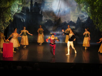 Foto des Albums: Ballett 