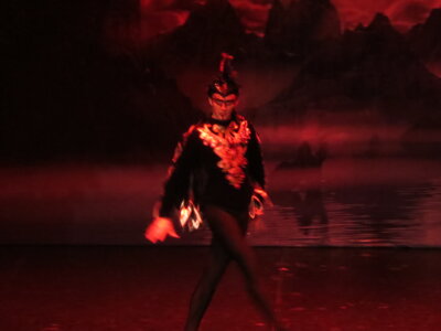 Foto des Albums: Ballett 