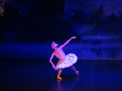 Foto des Albums: Ballett 