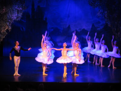 Foto des Albums: Ballett 