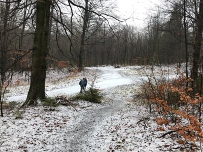 Kohlenstrasse / Polenzweg  (Bild vergr&ouml;&szlig;ern)
