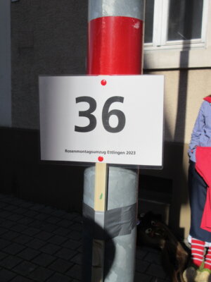 Foto des Albums: Umzug Ettlingen