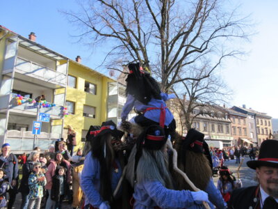 Foto des Albums: Umzug Ettlingen