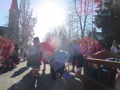 Foto des Albums: Umzug Ettlingen