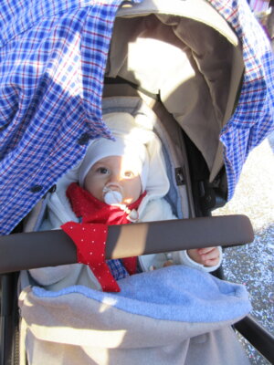 Foto des Albums: Umzug Ettlingen