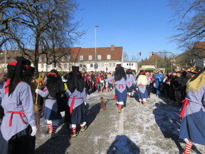 Foto des Albums: Umzug Ettlingen