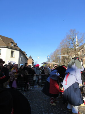 Foto des Albums: Umzug Grötzingen