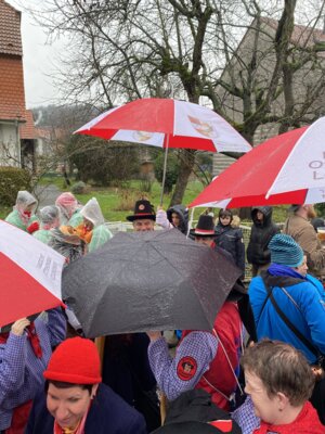 Foto des Albums: Umzug Grötzingen