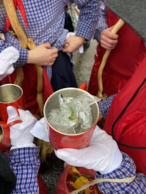 Foto des Albums: Umzug Grötzingen