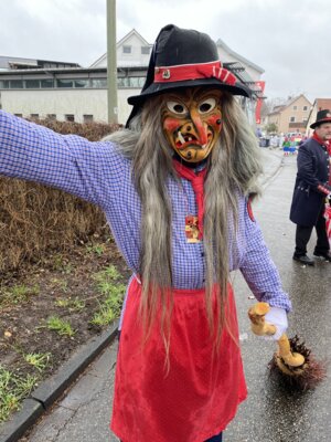 Foto des Albums: Umzug Grötzingen