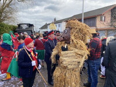Foto des Albums: Umzug Odelshofen