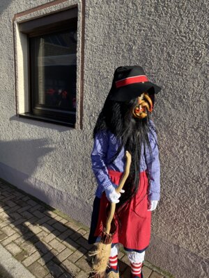 Foto des Albums: Umzug Odelshofen