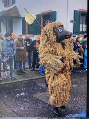 Foto des Albums: Umzug Odelshofen