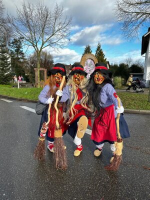 Foto des Albums: Umzug Odelshofen