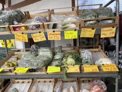 Foto des Albums: Umzug Ottersweier