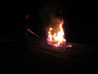 Foto des Albums: Verbrennung