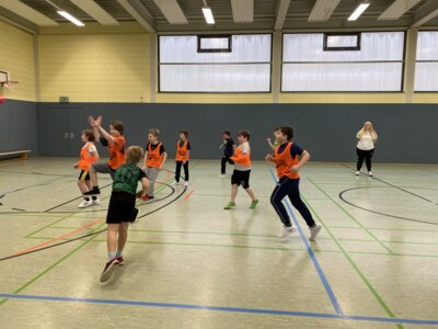 Foto des Albums: Handball-Grundschulaktionstag