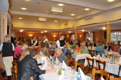 Foto des Albums: Jubliäum 1-50
