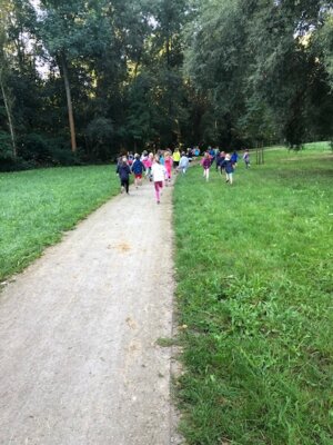 Los gehts  (Bild vergr&ouml;&szlig;ern)
