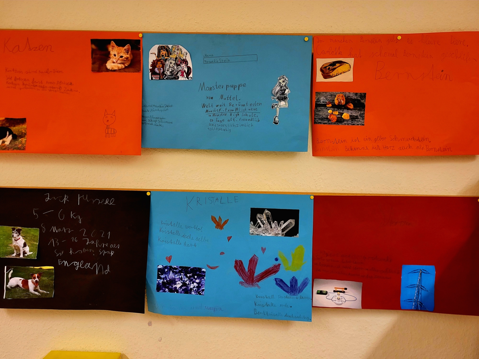 Bild der Galerie