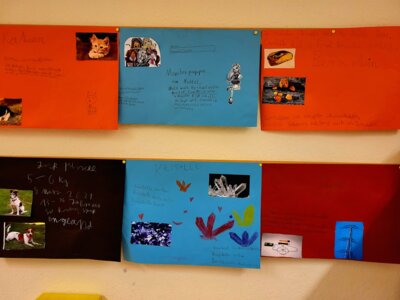 Foto des Albums: Forscherzeit