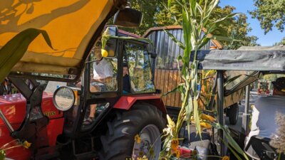 Foto des Albums: Erntefest Suckow 2023