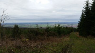 Deisternordblick Februar 2020  (Bild vergr&ouml;&szlig;ern)