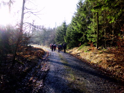 Studentenweg  (Bild vergr&ouml;&szlig;ern)