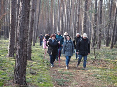 Vorschaubild: IMG 4676
