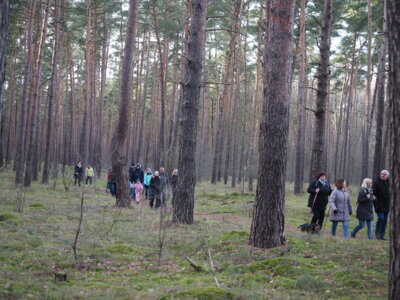 Vorschaubild: IMG 4682