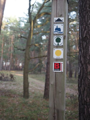 Vorschaubild: IMG 4683
