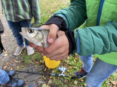 Foto des Albums: ANGELNmachtSCHULE 2023/2024