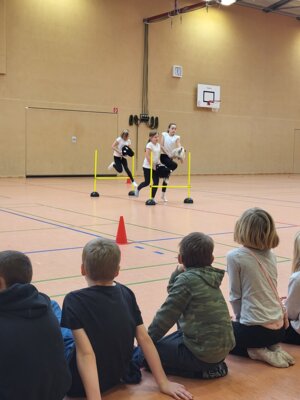 Foto des Albums: Hobby Horsing Gala