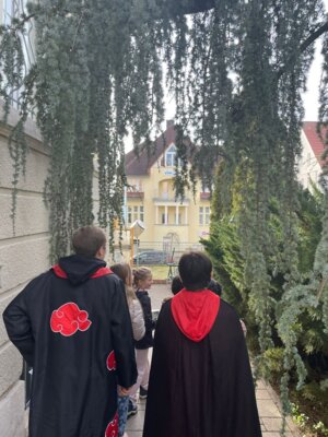 Welt der Zauberei (13) 