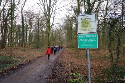 Ab in den Wald  (Bild vergr&ouml;&szlig;ern)