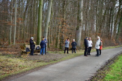 Erste Pause -4  (Bild vergr&ouml;&szlig;ern)
