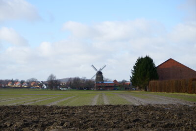 Windm&uuml;hle Wichtringhausen  (Bild vergr&ouml;&szlig;ern)