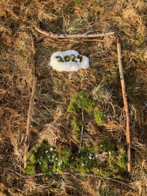 Foto des Albums: Skilager 2024