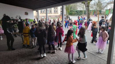 Foto des Albums: Faschingsfeier 2024
