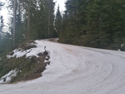 Vorschaubild: Die Skiroute 27....