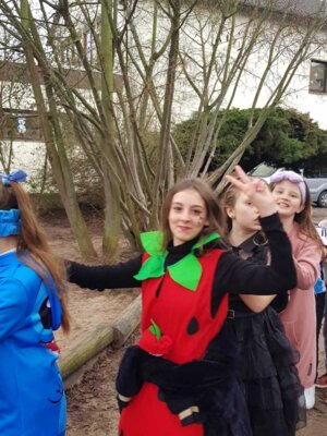 Foto des Albums: Rosenmontag