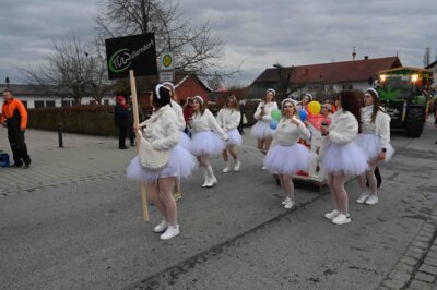 Foto des Albums: Rosenmontagszug 2024 in Bildern