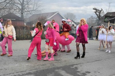 Foto des Albums: Rosenmontagszug 2024 in Bildern