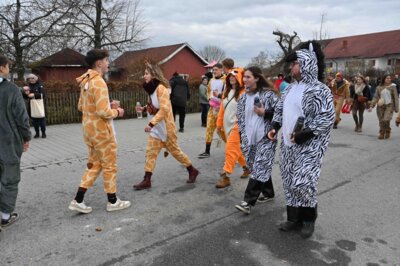 Foto des Albums: Rosenmontagszug 2024 in Bildern