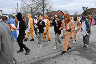 Foto des Albums: Rosenmontagszug 2024 in Bildern